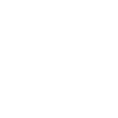 Twitter Icon